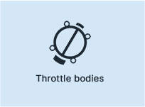 throttle bodies